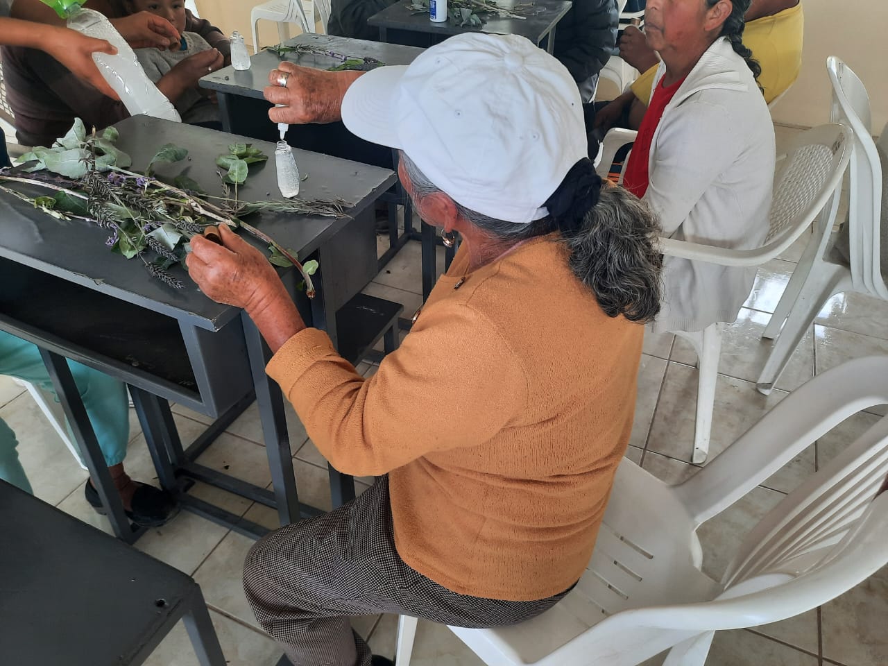 «Promoviendo un envejecimiento activo y seguro previniendo infecciones respiratoriasagudas, mediante el uso de un agente desinfectante antibacterial elaborado conelementos naturales, en la comunidad San José de Juntus, Parroquia La Matriz, CantónGuano, Provincia Chimborazo».